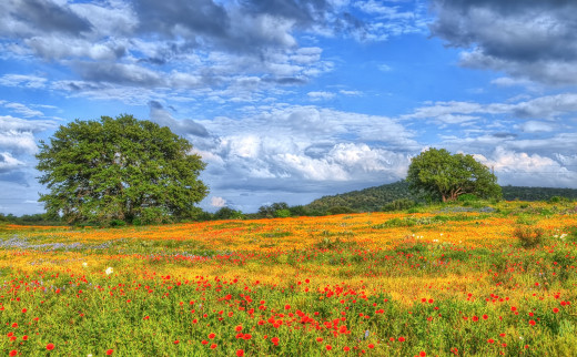 807076 (a): :2048x1265